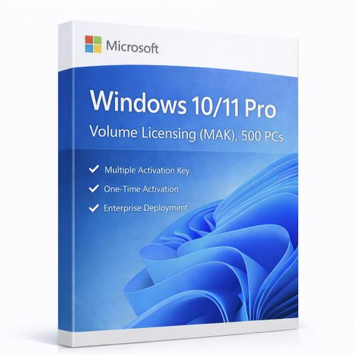 Windows 10/11 Pro — Clé OEM